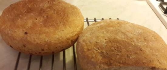 Pane rustico a pasta lunga (con farina di grano saraceno)