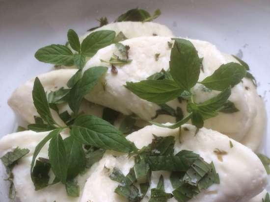 Formaggio Halloumi e Anari prodotto con latte di capra anglo-nubiano