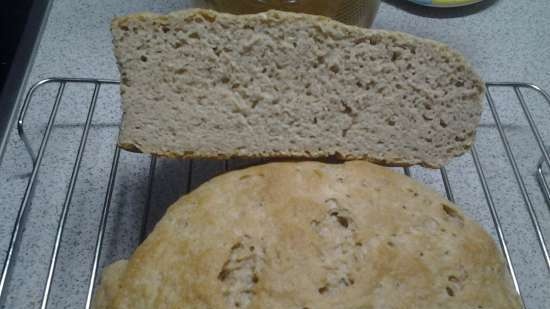 Pane rustico a pasta lunga (con farina di grano saraceno)