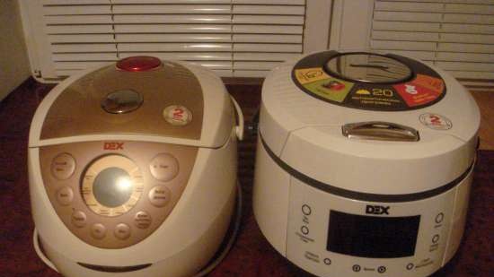 Multicooker DEX DMC-80 and DMC-81