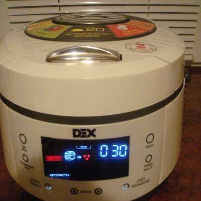 Multicooker DEX DMC-80 and DMC-81