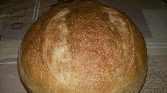 Pane Integrale Con Lievito Di Banana Liquido