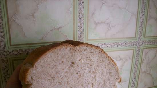 Pane Integrale Con Lievito Di Banana Liquido