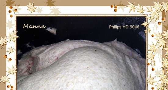 Philips HD9046. Haverbrood (glutenarm)