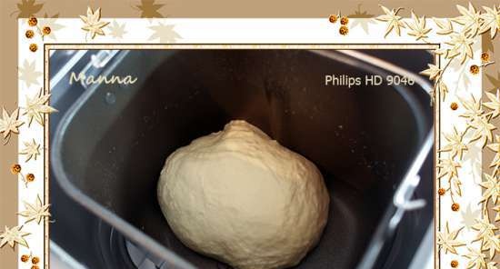 Philips HD9046. Pan de trigo con yogur