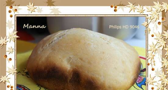 Philips HD9046. Pan de trigo con yogur