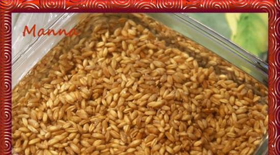 Spelt pilaf med sopp (KitchenAid multikooker)