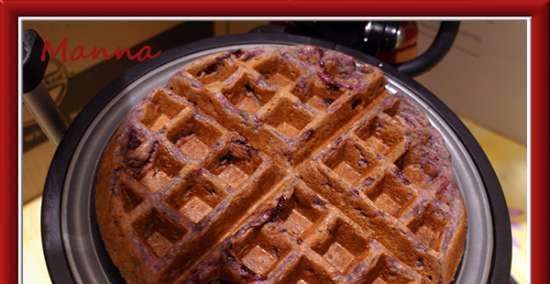 KitchenAid Artisan Waffle Maker (per waffle morbidi)