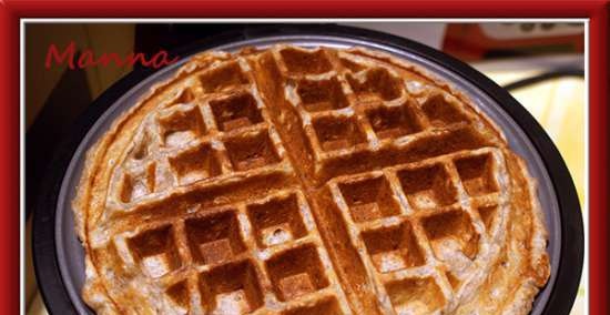 KitchenAid Artisan Waffle Maker (per waffle morbidi)