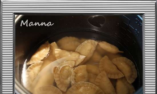 Dumplings casolans en una panera multifunció Panasonic SR-TMZ550