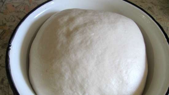 Wheat baguettes based on L. Geisler's recipe