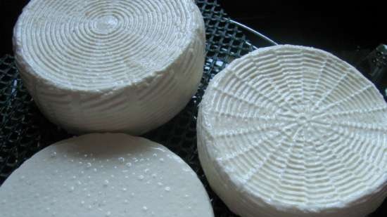 Formaggio Camembert con lievito naturale per buongustai