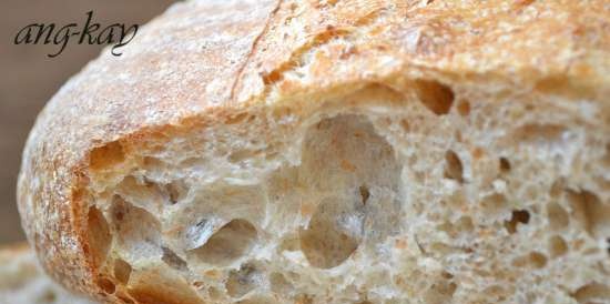 Bread on beer with semolina