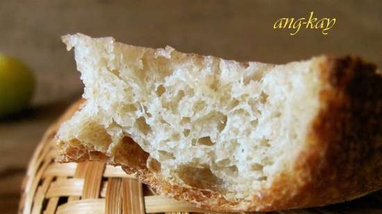 Pane di frumento con prugne