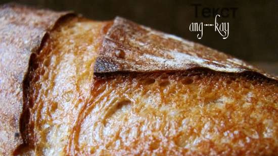 Pane di segale di grano con lunga lievitazione