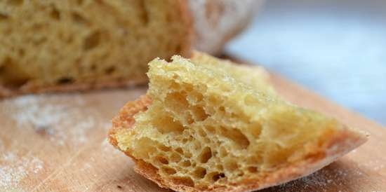 Pane a lievitazione naturale con farina di zucca