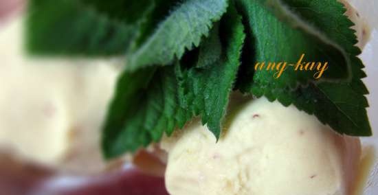 Gelato con crema di fragole (mixer)