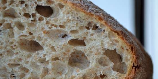 Bread on beer with semolina