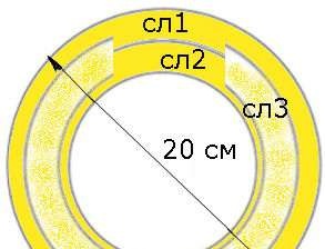 גזר עוגת פריז-ברסט