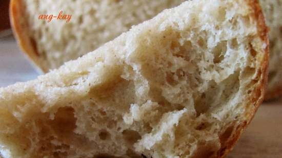 Pane lievito di frutta con farina di mais e segale