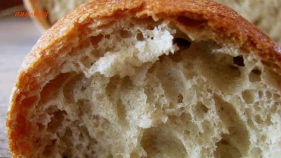 Pane lievito di frutta con farina di mais e segale