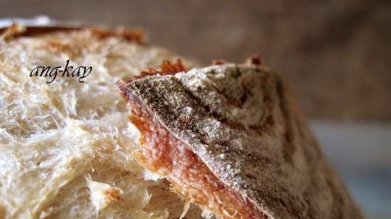 Pane a lievitazione naturale con birra scura