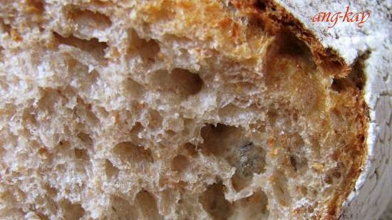 Wheat rye bread with fruit yeast