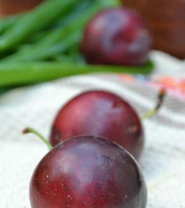 Pastís de prunes amb xocolata