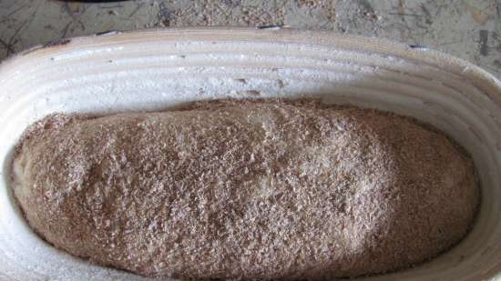 Plain Wheat Sourdough Corn Flour Bread