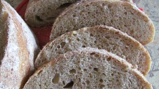 Plain Wheat Sourdough Corn Flour Bread