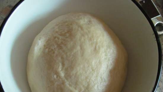 Airy Custard Buns