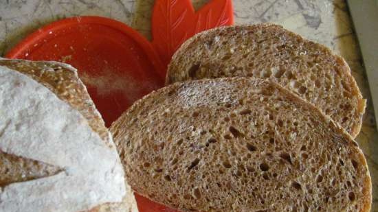 Pane con sesamo e lino su lievito naturale di segale