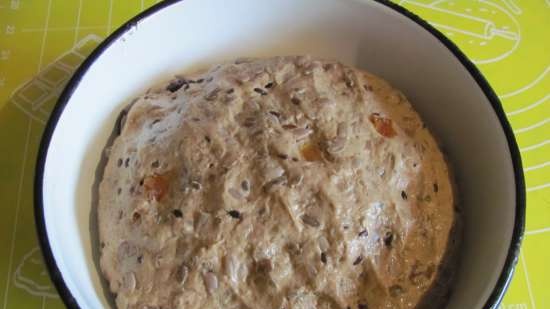 Bread Swedish with seeds and dried fruits