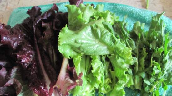 Aardbeiensalade met blauwe kaas en munt