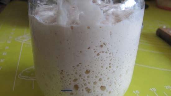 Pane preparato con lievito di limone