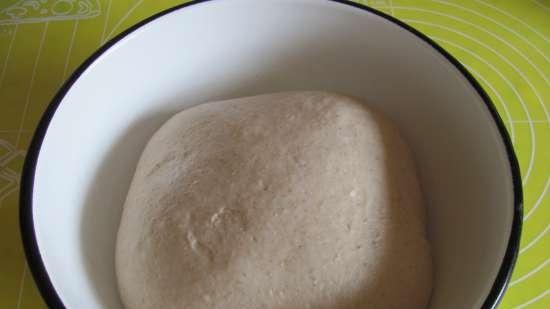 Pane alla birra con polisol