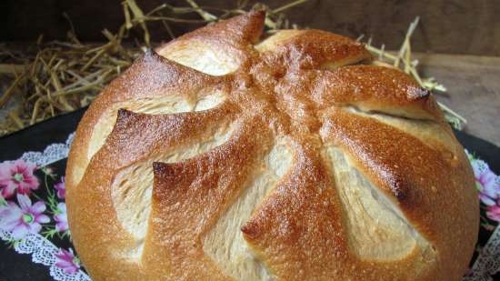 Pan de levadura de uva elaborado con diferentes tipos de harina