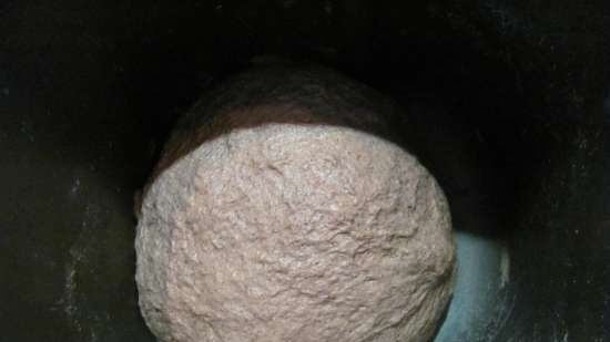 Pane a lievitazione naturale con farina di semi d'uva