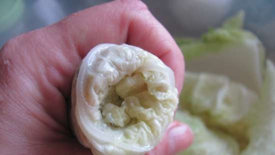 Ang mga isda ng repolyo ay gumulong kasama ang Chinese cabbage at squid sauce