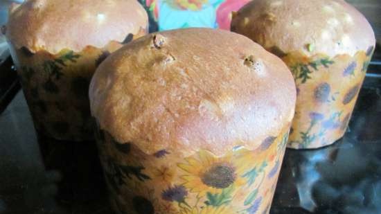 Panettone. Italyano Easter cake (kusina processor Bomann KM 398 CB)