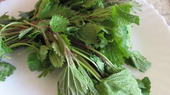 Mag-atas na sopas na may nettle at broccoli