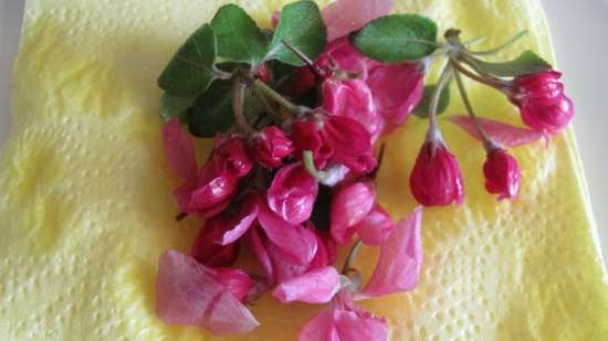 Sakura Cheesecake (fără coacere)