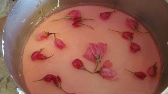 Sakura cheesecake (niet gebakken)