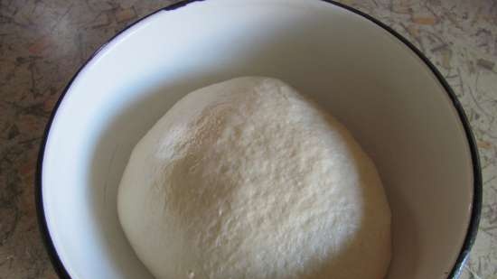 Dessert bread with cinnamon and raisins