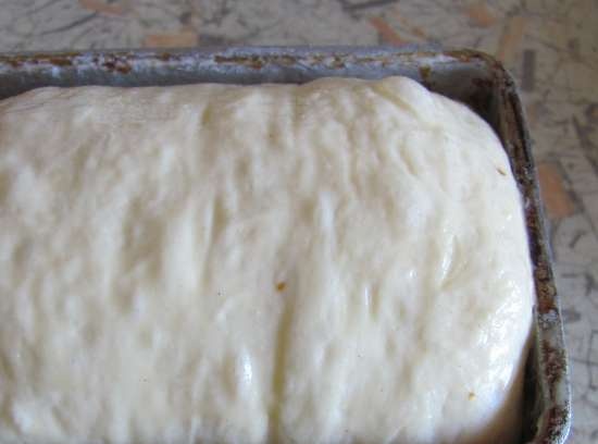 Dessert bread with cinnamon and raisins