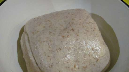 Wheat rye bread with fruit yeast