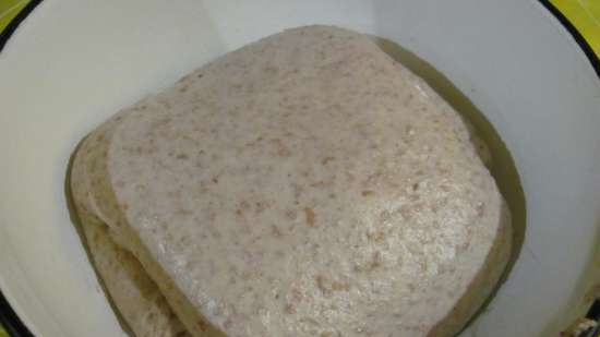 Wheat rye bread with fruit yeast