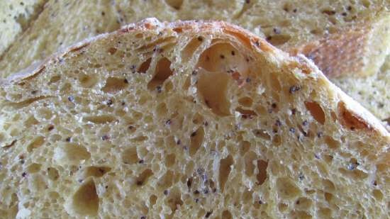 Sourdough bread with poppy seeds, onions and turmeric