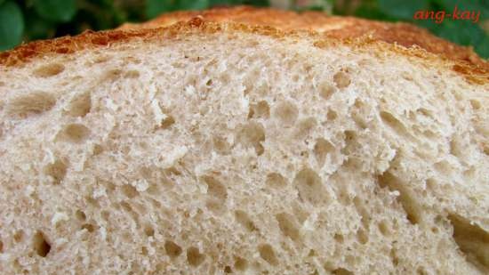 Pane a lievitazione naturale e lievito di frutta con farina d'avena