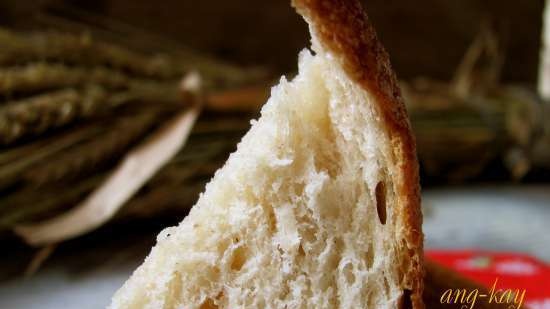 Pane di segale con lievito naturale (fermentazione a freddo)